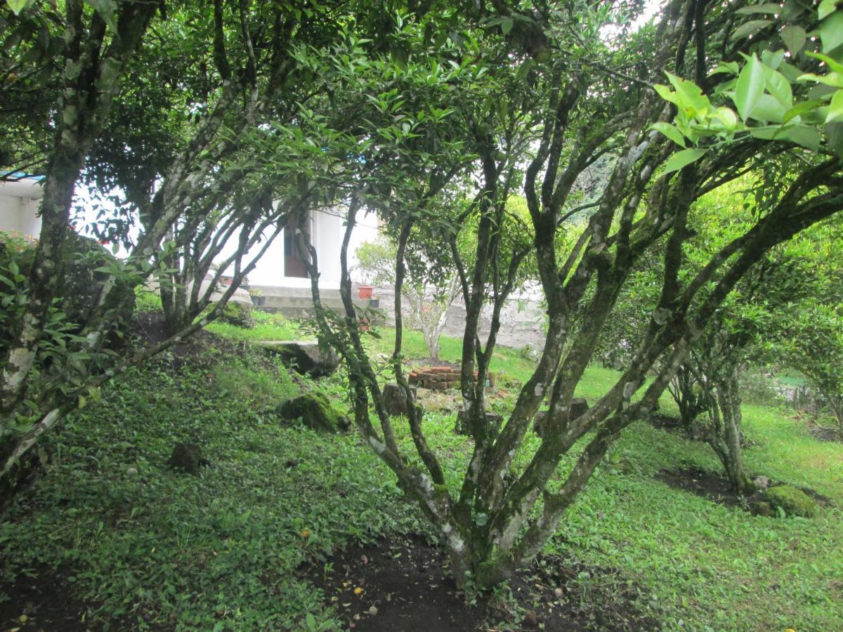 Casa Martin En Banos De Agua Santa Villa Esterno foto